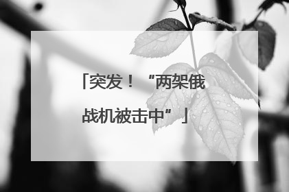 突发！“两架俄战机被击中”