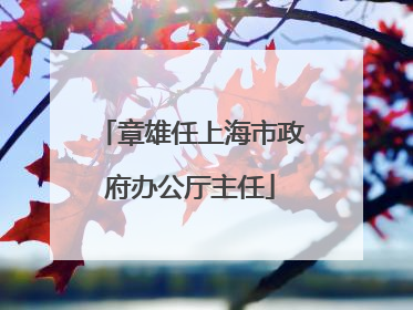 章雄任上海市政府办公厅主任