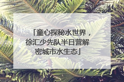 童心探秘水世界，徐汇少先队半日营解密城市水生态