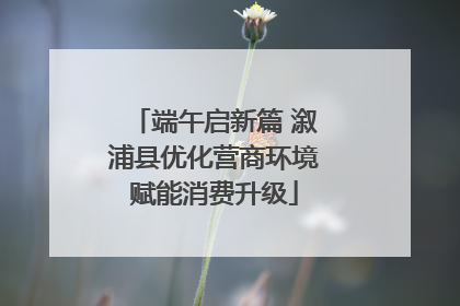 端午启新篇 溆浦县优化营商环境赋能消费升级