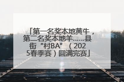 第一名奖本地黄牛，第二名奖本地羊……县街“村BA”（2025春季赛）圆满完赛