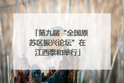 第九届“全国原苏区振兴论坛”在江西泰和举行