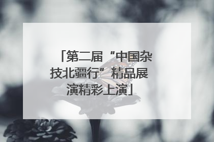 第二届“中国杂技北疆行”精品展演精彩上演