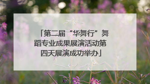 第二届“华舞行”舞蹈专业成果展演活动第四天展演成功举办
