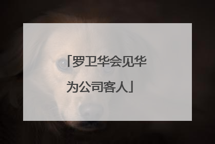 罗卫华会见华为公司客人