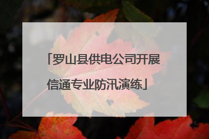 罗山县供电公司开展信通专业防汛演练