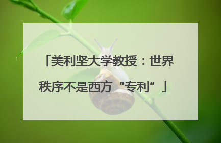 美利坚大学教授：世界秩序不是西方“专利”