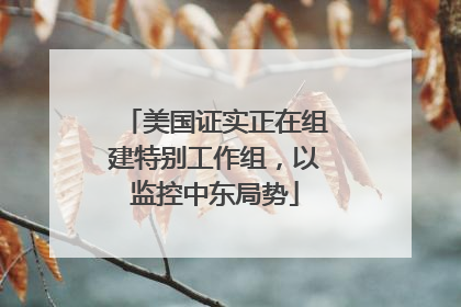 美国证实正在组建特别工作组，以监控中东局势