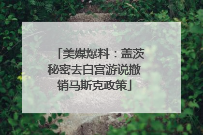 美媒爆料：盖茨秘密去白宫游说撤销马斯克政策