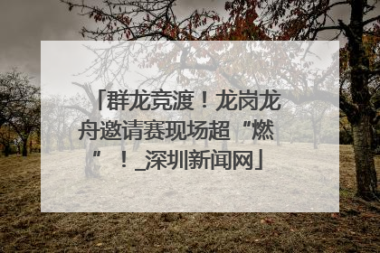 群龙竞渡！龙岗龙舟邀请赛现场超“燃”！_深圳新闻网