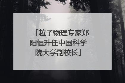 粒子物理专家郑阳恒升任中国科学院大学副校长
