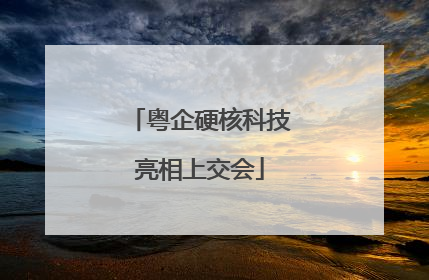 粤企硬核科技亮相上交会