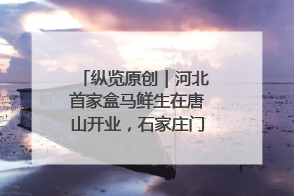 纵览原创｜河北首家盒马鲜生在唐山开业，石家庄门店预计8月开业