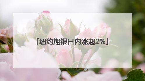 纽约期银日内涨超2%