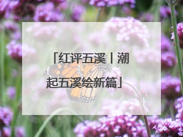红评五溪丨潮起五溪绘新篇