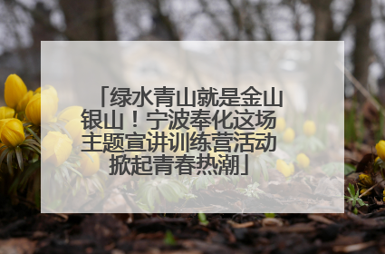 绿水青山就是金山银山！宁波奉化这场主题宣讲训练营活动掀起青春热潮