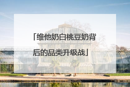 维他奶白桃豆奶背后的品类升级战