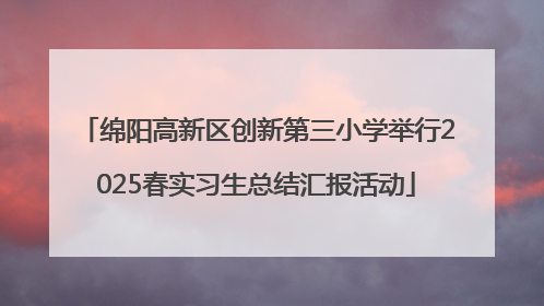 绵阳高新区创新第三小学举行2025春实习生总结汇报活动