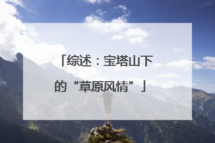 综述：宝塔山下的“草原风情”