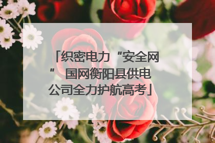 织密电力“安全网” 国网衡阳县供电公司全力护航高考