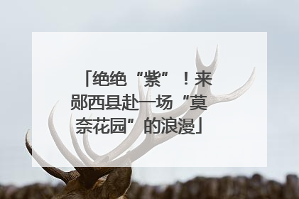 绝绝“紫”！来郧西县赴一场“莫奈花园”的浪漫