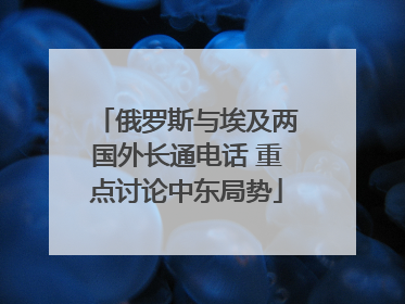 俄罗斯与埃及两国外长通电话 重点讨论中东局势