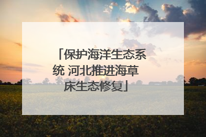 保护海洋生态系统 河北推进海草床生态修复