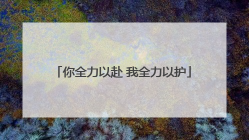 你全力以赴 我全力以护