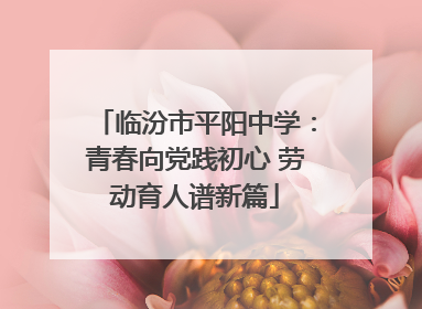 临汾市平阳中学：青春向党践初心 劳动育人谱新篇