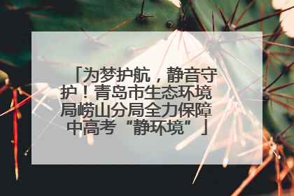 为梦护航，静音守护！青岛市生态环境局崂山分局全力保障中高考“静环境”