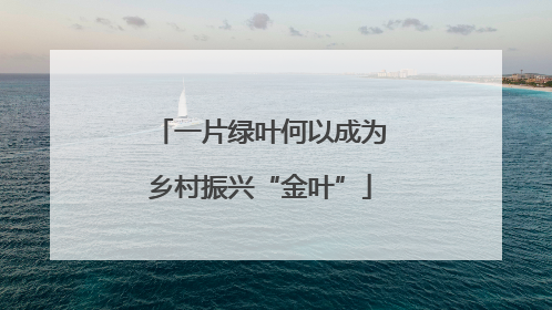 一片绿叶何以成为乡村振兴“金叶”