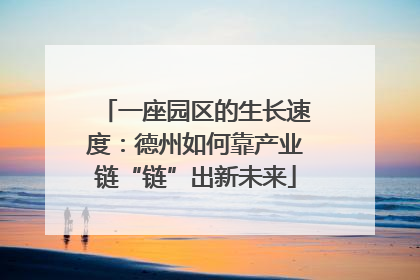 一座园区的生长速度：德州如何靠产业链“链”出新未来