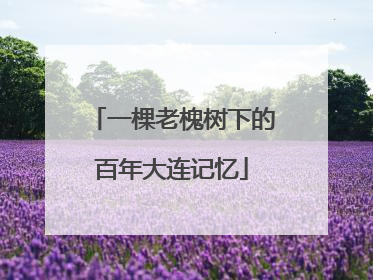 一棵老槐树下的百年大连记忆