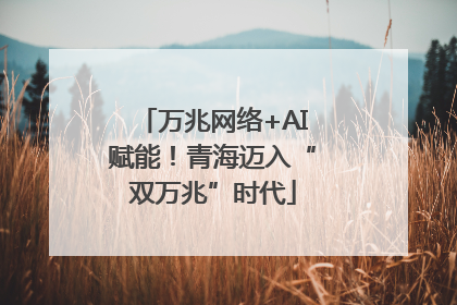 万兆网络+AI赋能！青海迈入“双万兆”时代