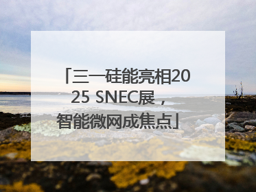 三一硅能亮相2025 SNEC展，智能微网成焦点