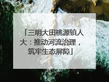 三明大田桃源镇人大：推动河流治理，筑牢生态屏障