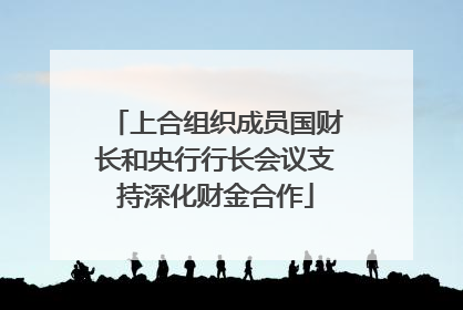 上合组织成员国财长和央行行长会议支持深化财金合作
