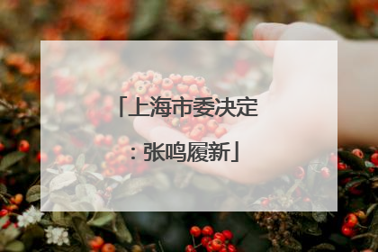 上海市委决定：张鸣履新