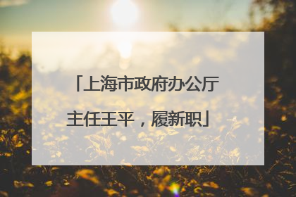 上海市政府办公厅主任王平，履新职