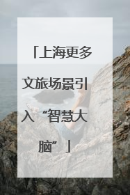 上海更多文旅场景引入“智慧大脑”