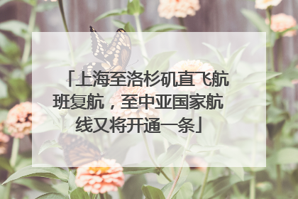 上海至洛杉矶直飞航班复航，至中亚国家航线又将开通一条