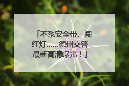 不系安全带、闯红灯……德州交警最新高清曝光！