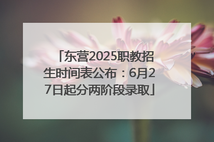东营2025职教招生时间表公布：6月27日起分两阶段录取