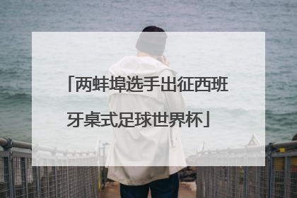 两蚌埠选手出征西班牙桌式足球世界杯