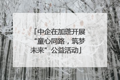 中企在加蓬开展“童心同路，筑梦未来”公益活动