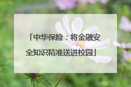中华保险：将金融安全知识精准送进校园