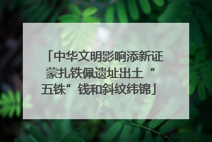 中华文明影响添新证 蒙扎铁佩遗址出土“五铢”钱和斜纹纬锦