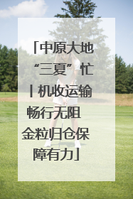 中原大地“三夏”忙丨机收运输畅行无阻 金粒归仓保障有力