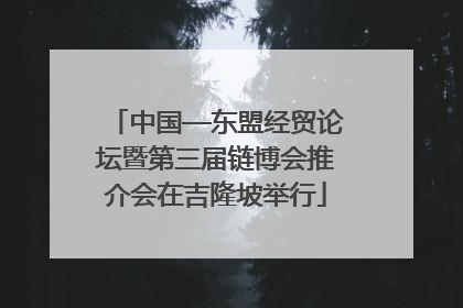 中国—东盟经贸论坛暨第三届链博会推介会在吉隆坡举行