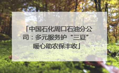 中国石化周口石油分公司：多元服务护“三夏” 暖心助农保丰收